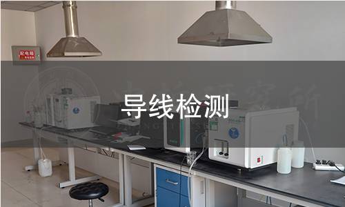 導(dǎo)線檢測