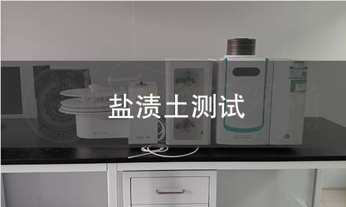 鹽漬土測(cè)試