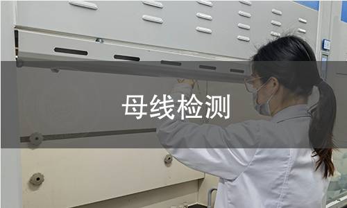 母線檢測