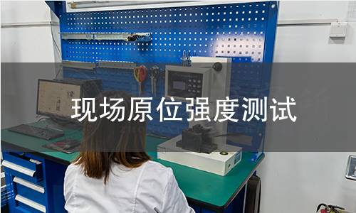 現(xiàn)場原位強(qiáng)度測試