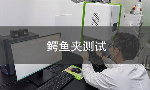 鱷魚(yú)夾測(cè)試