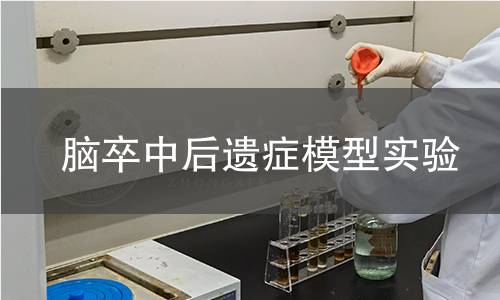 腦卒中后遺癥模型實(shí)驗(yàn)