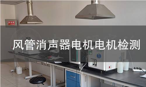 風(fēng)管消聲器電機(jī)檢測