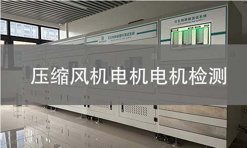 壓縮風(fēng)機(jī)電機(jī)檢測