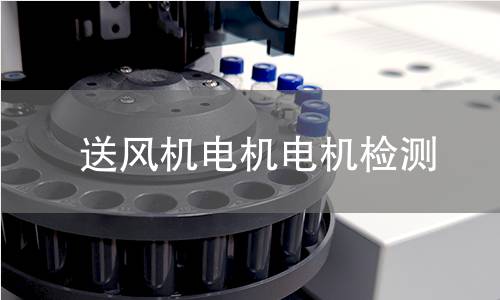 送風(fēng)機(jī)電機(jī)檢測