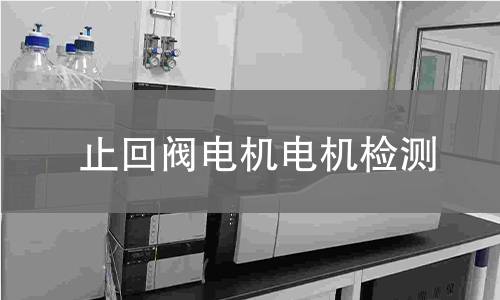 止回閥電機(jī)檢測(cè)