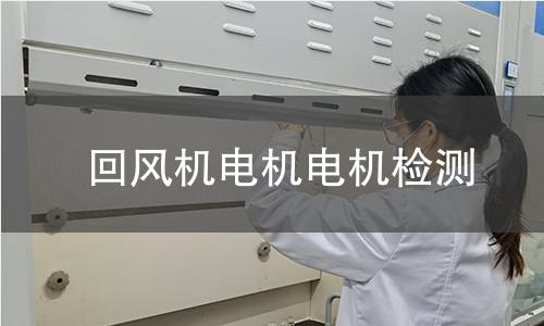 回風(fēng)機(jī)電機(jī)檢測