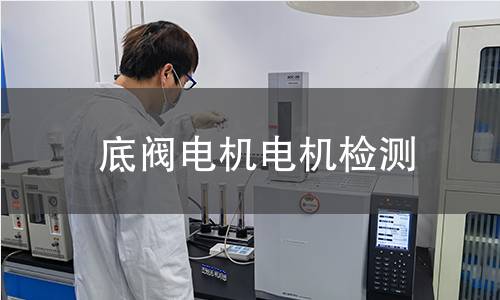 底閥電機(jī)電機(jī)檢測(cè)