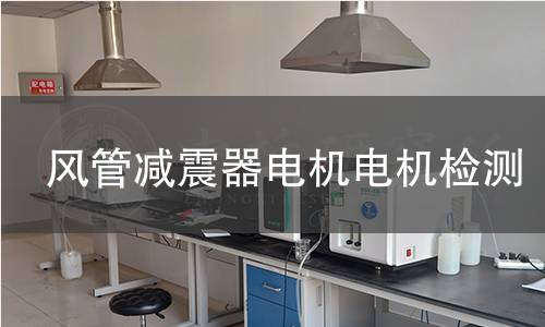風(fēng)管減震器電機(jī)檢測
