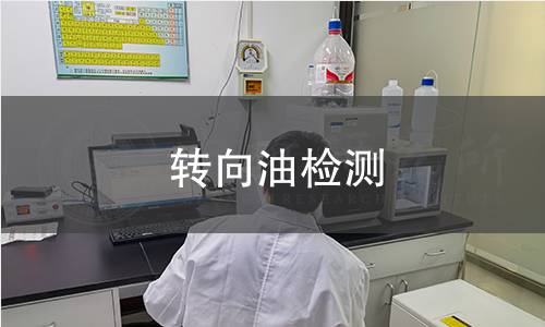 轉(zhuǎn)向油檢測